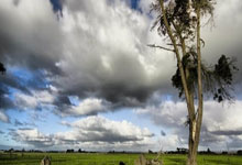 爱游戏体育-奥地利队横扫瑞典队，张继科高光表现