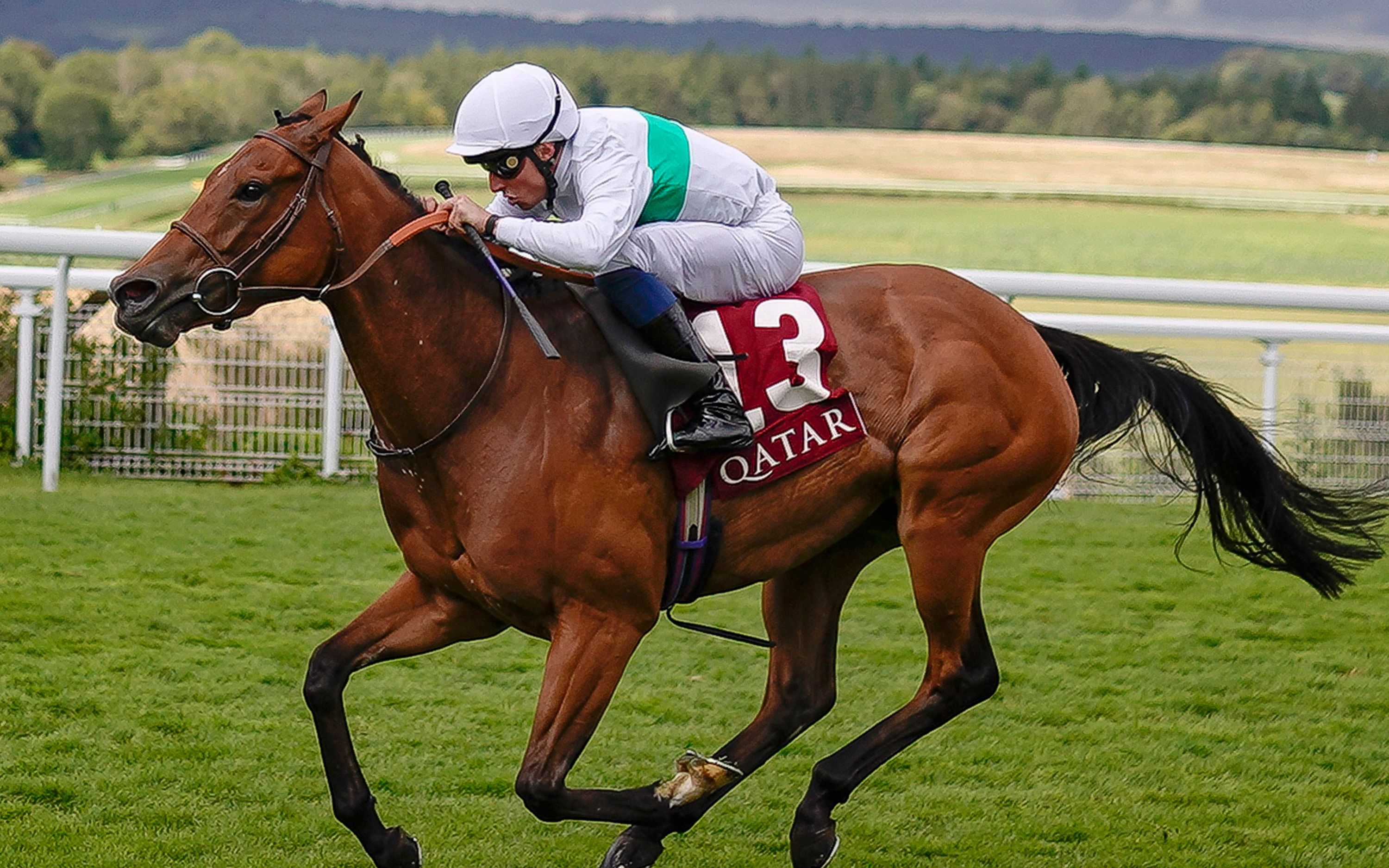 广东队完胜国王，乔治统治全场