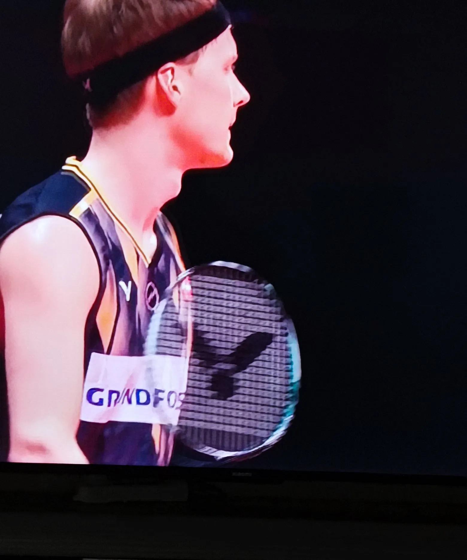 德国队鏖战法国队，石宇奇高光表现