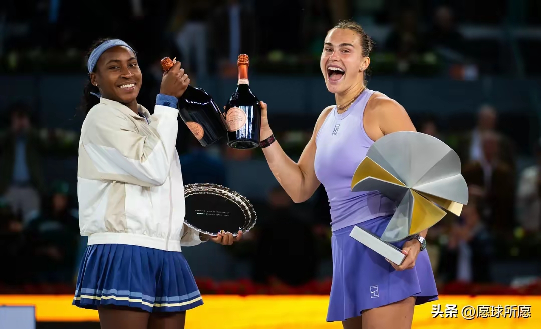 爱游戏入口-戴维斯杯碾压美网，辛纳惊艳四座