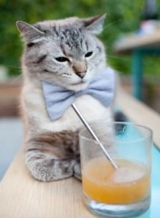 爱游戏下载-蓝桥史诗，旧将归来导演逆转，德布劳内刷新助攻王传奇