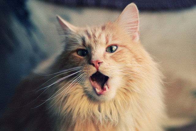 当英雄苏醒于安特卫普，一次点燃与两场力克的神话