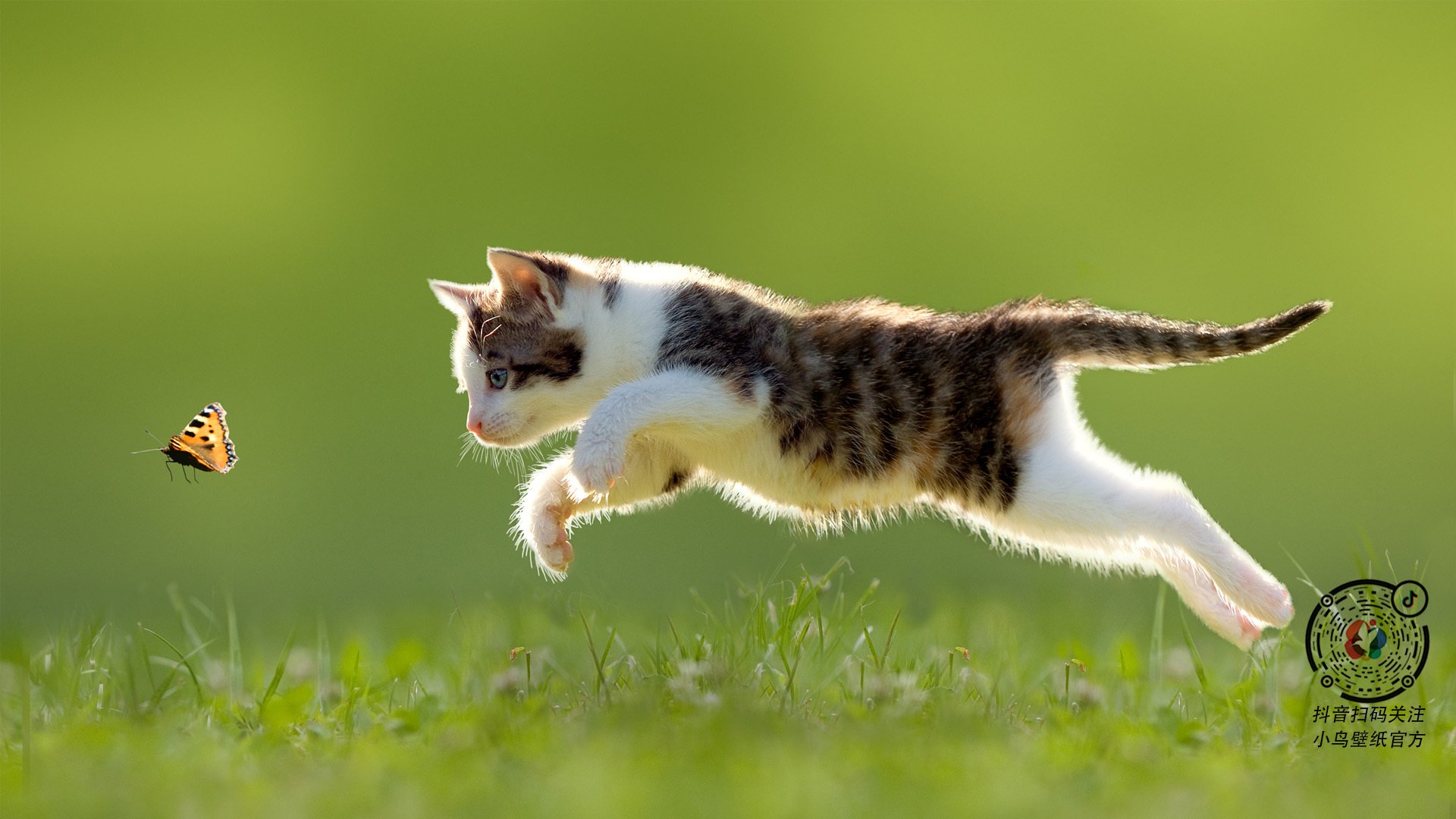 绝境反杀!张继科逆风扛鼎,中国队死里逃生险胜波兰