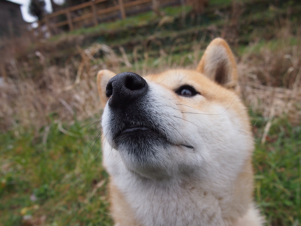 冰封的火星，40℃极光下，文班亚马如何用一记不可能的传球点燃冻土