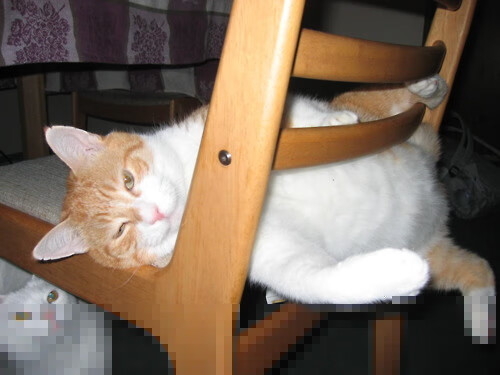 利刃出鞘，阿圭罗展现巨星价值，阿根廷正面击溃加拿大