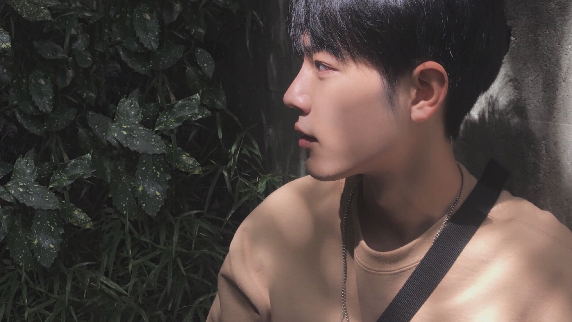 马克西轰出50+刷新纪录!热火却用一场完胜告诉全联盟,篮球的终极答案不只是个人表演