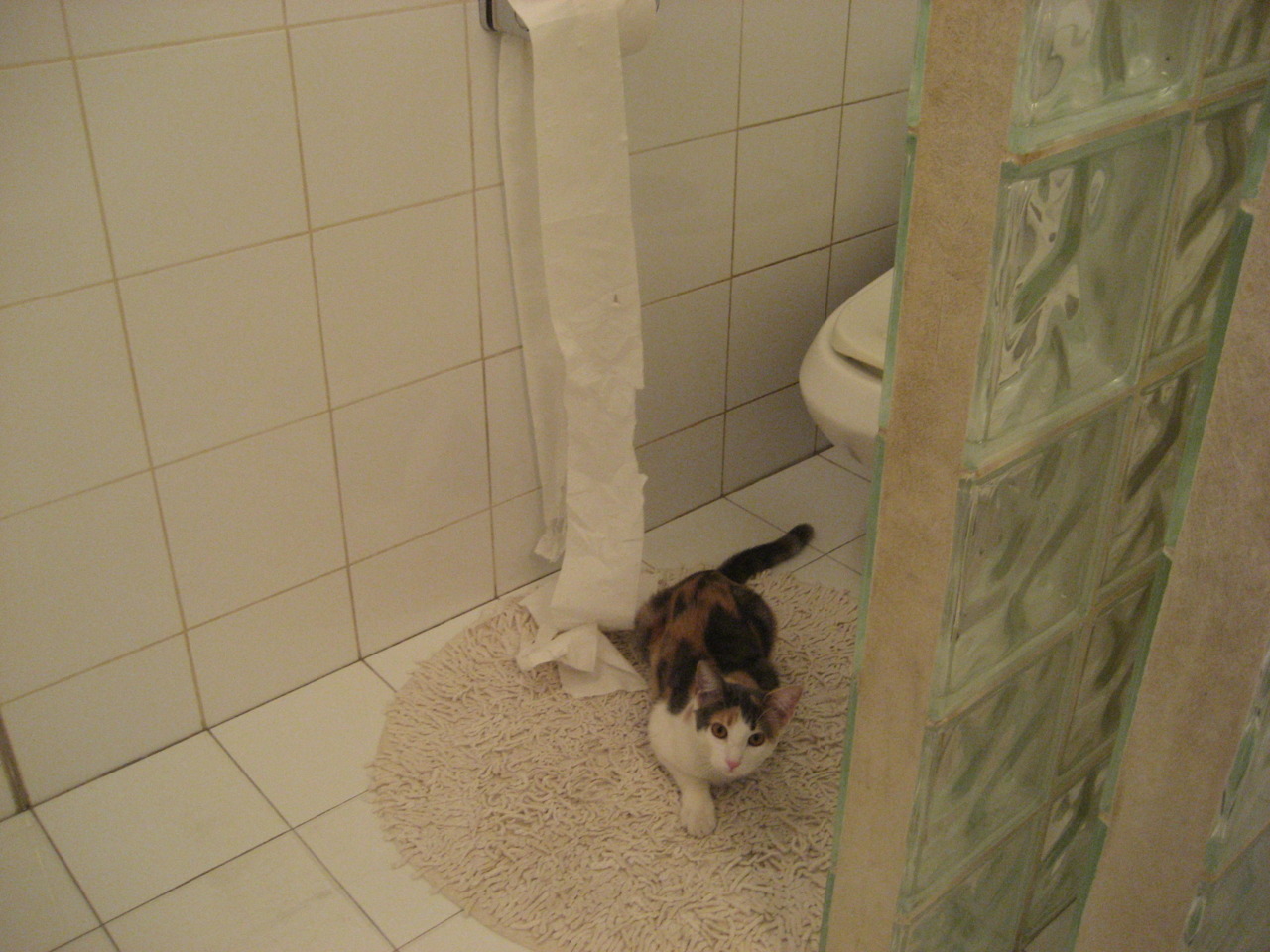 当辽宁队遇上老鹰,小贾伦的东方稳定能否重塑胜负天平?