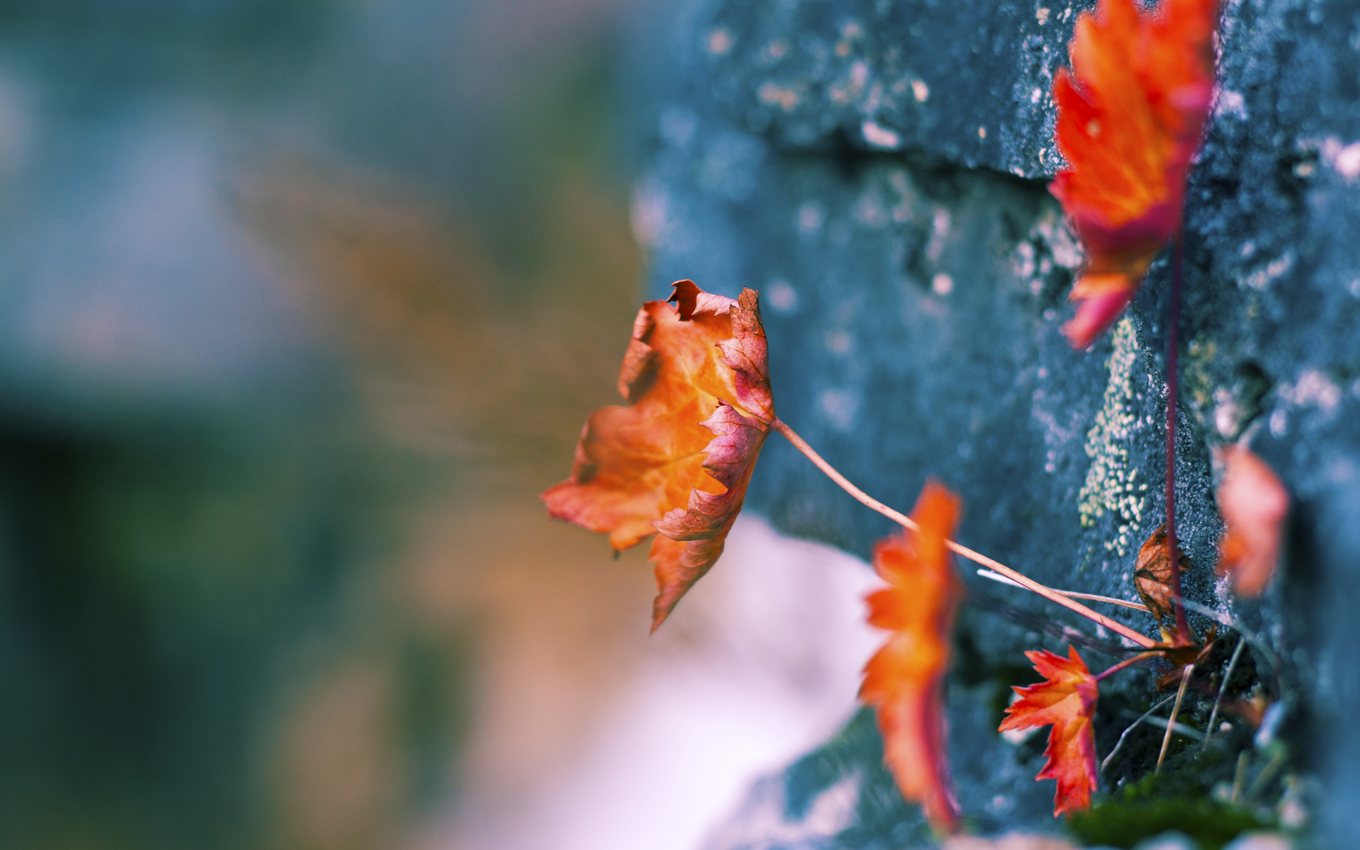 铁血交锋见证进化,西亚卡姆用全能回应吉林钢铁防守