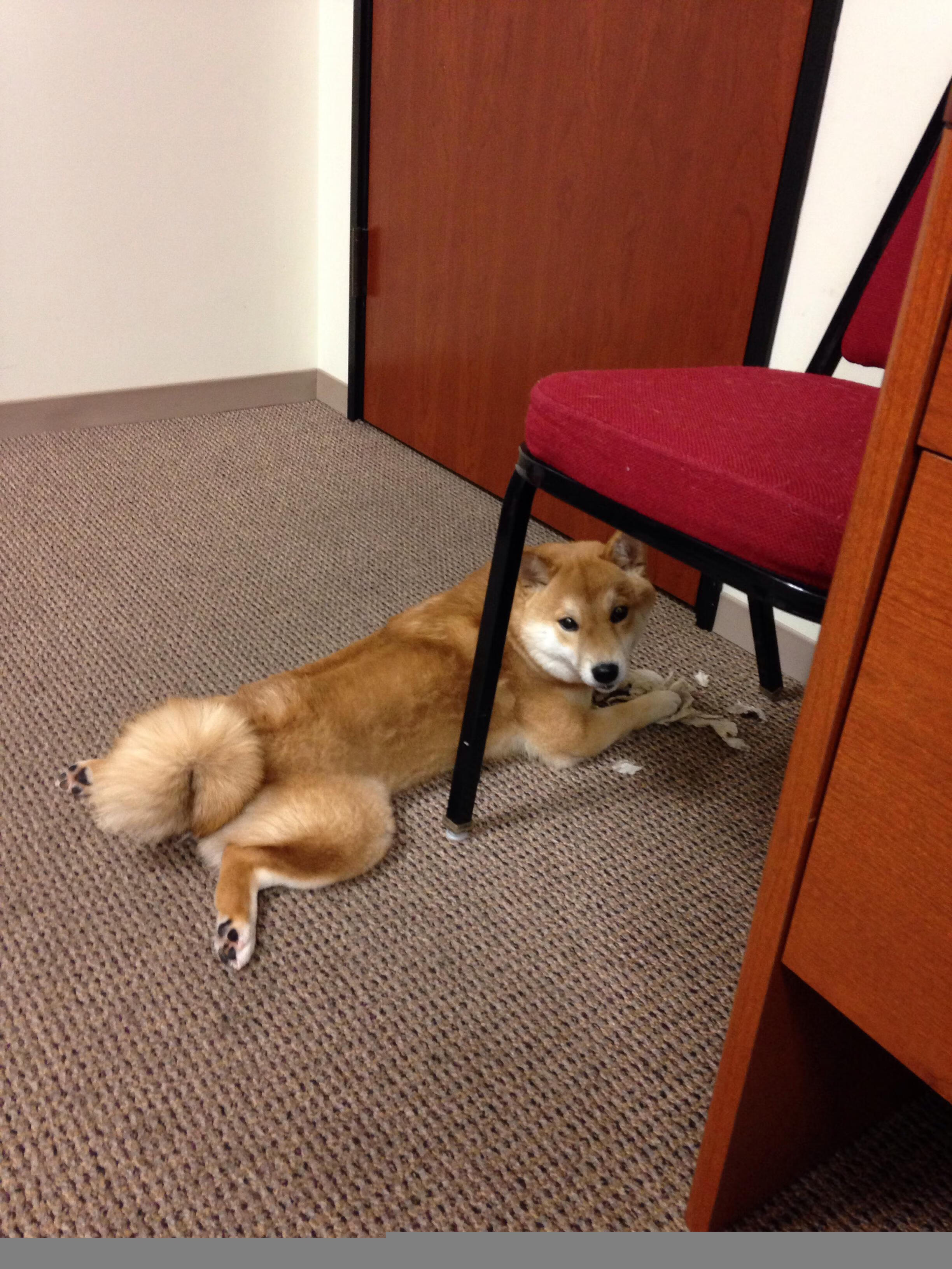 爱游戏入口-关键先生穆勒一击致命！西班牙行云流水却难挡希腊坚韧逆袭