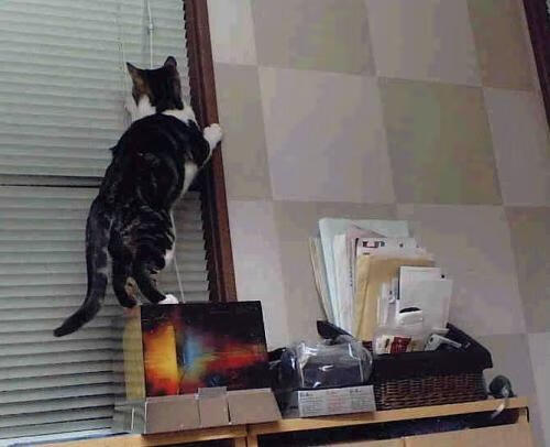 爱游戏在线-改写篮球史的唯一一夜，辽宁队速胜国王，杜兰特成关键先生