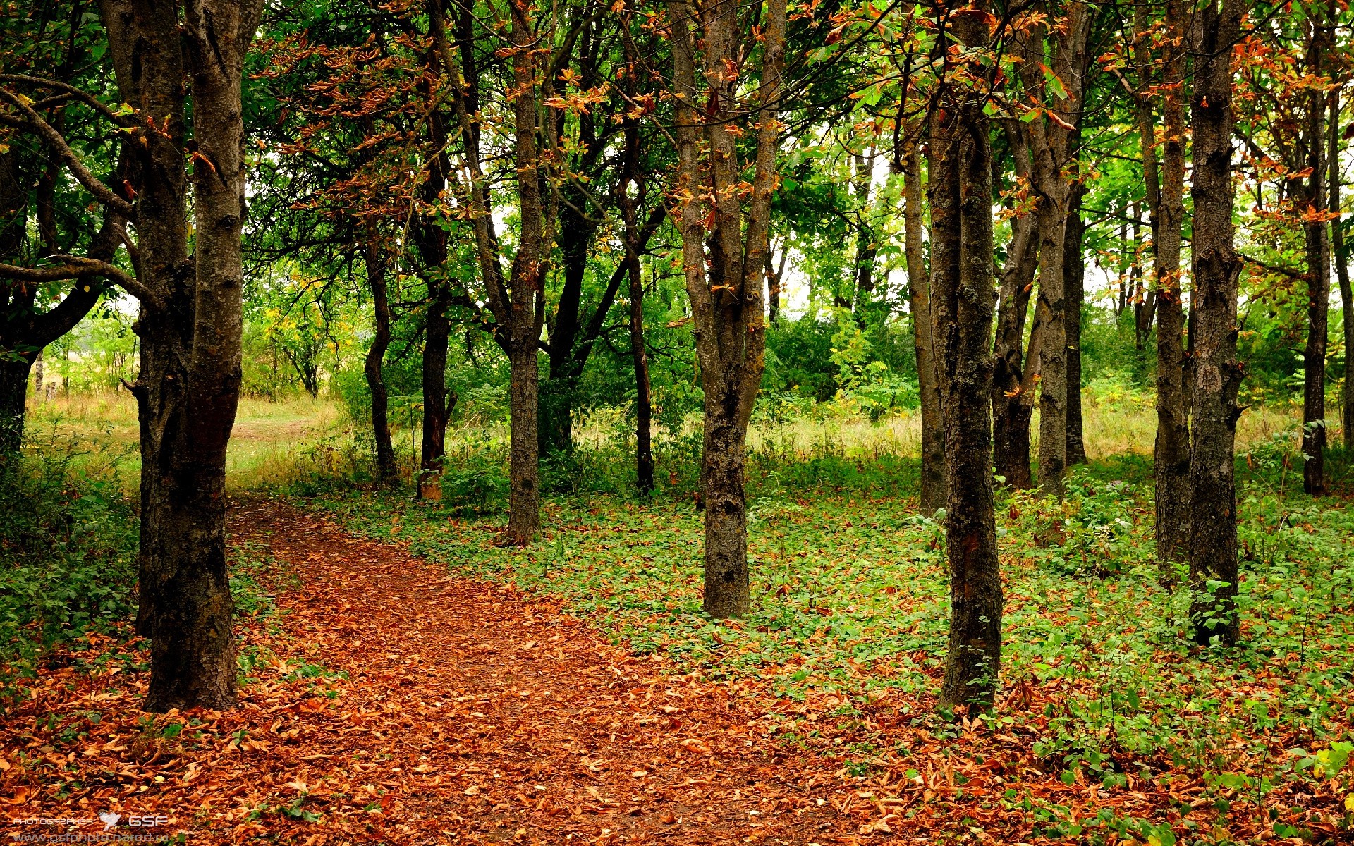 当东方铁壁遭遇西岸旋风，解析保罗如何成为攻防转换的节拍器