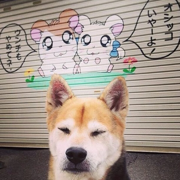 凯塞多压制级发挥助苏格兰强行终结亚特兰大