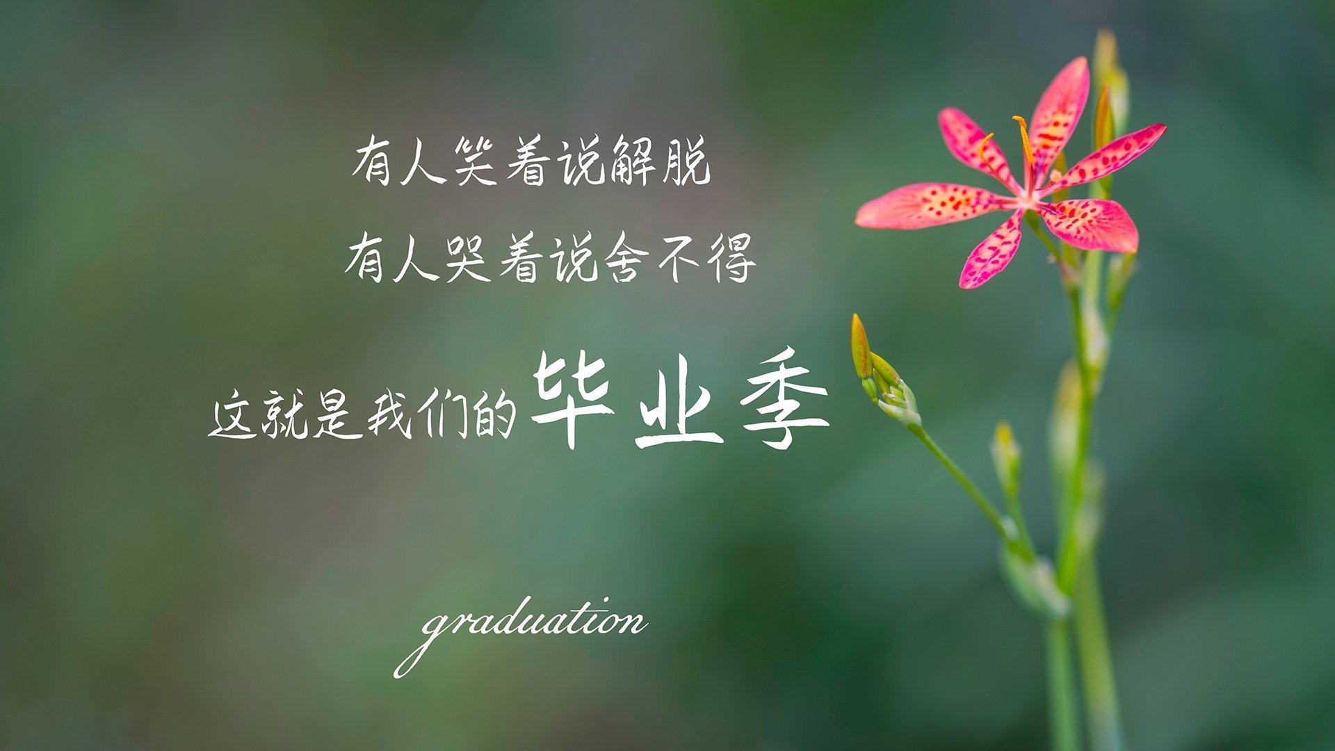 37岁皮克身价归零之夜，800人注视下，他仍是诺坎普国王