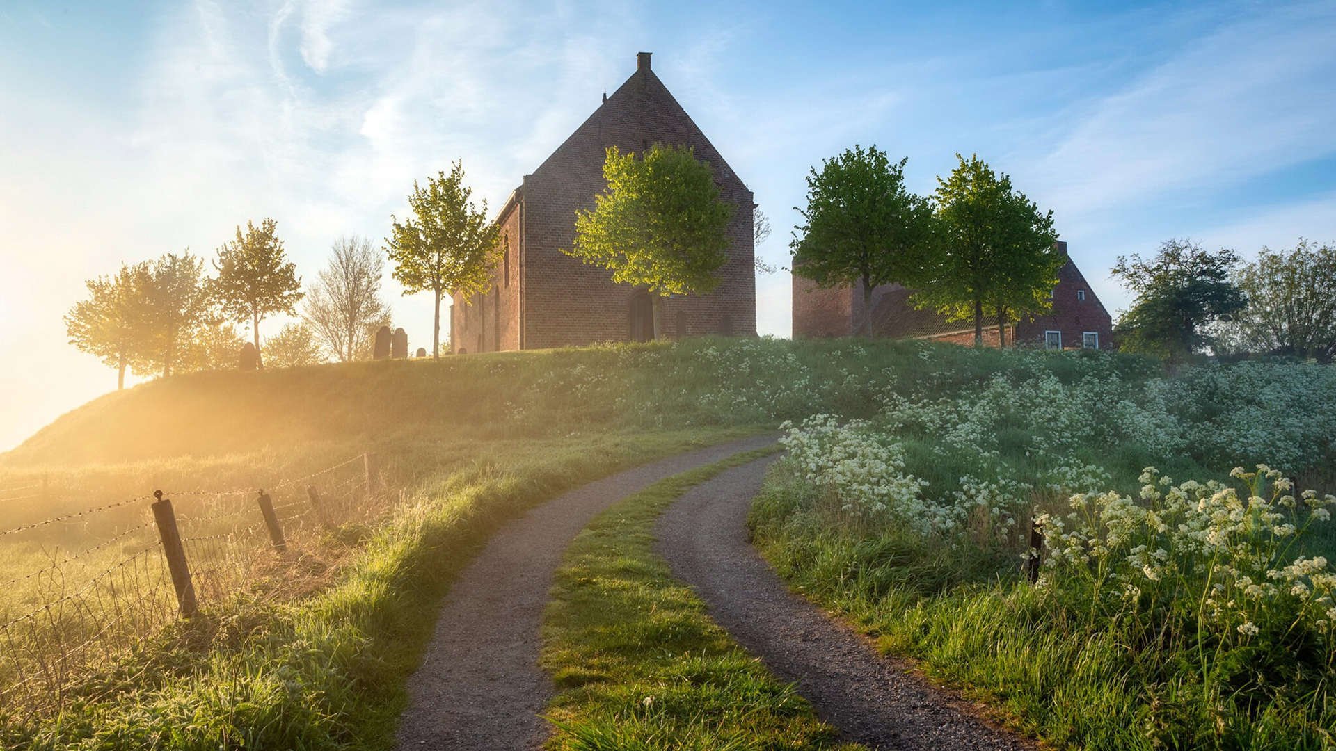 霍勒迪杀红眼！深圳猎豹撕碎勇三疯，终极解药已现