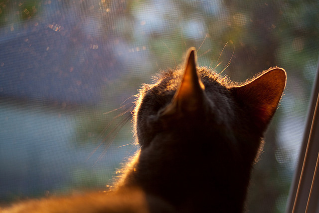 从碾压到救赎，卡塞米罗的关键时刻扭转战局