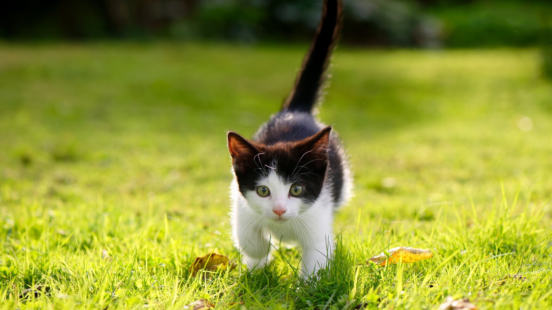 爱游戏-我为你构思了几个不同角度的标题，并选择其中一个撰写了文章