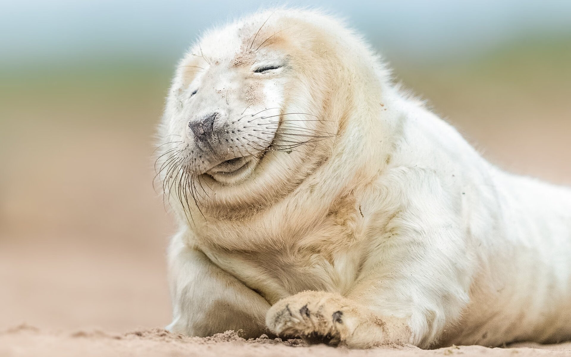 爱游戏娱乐-当篮球之神降临绿茵场，文班亚马的欧冠史诗之夜