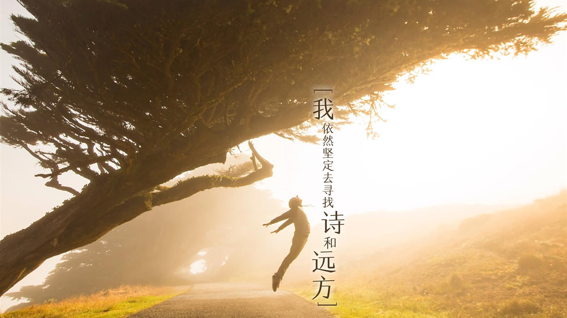 爱游戏下载-荒诞与真实的合奏，当金玟哉成为洪都拉斯逆袭的关键先生