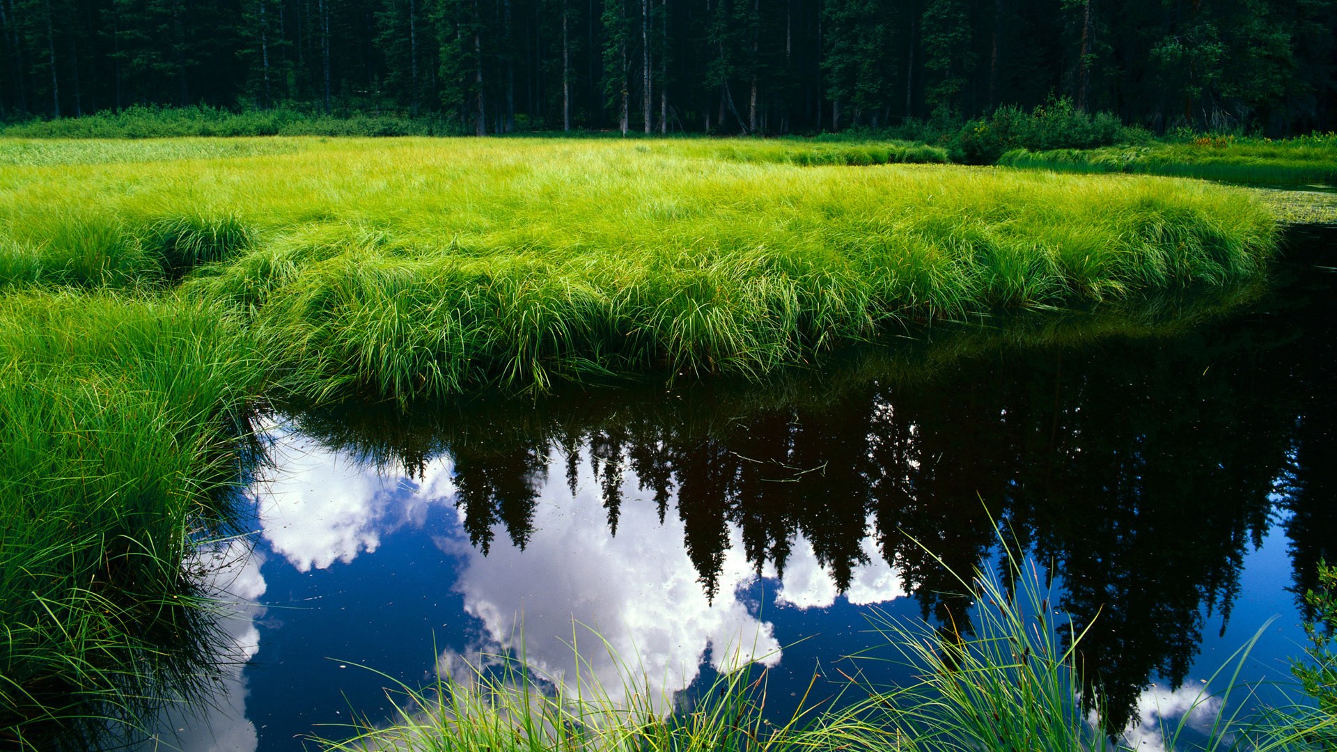 东方力量对决西方劲旅,哈利伯顿关键进球定乾坤,新疆队险胜老鹰