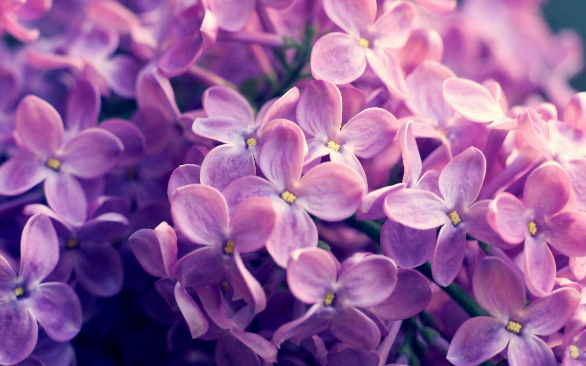 休城惊雷起!末节17-0死亡洪流,霍勒迪临危救主上演小人物史诗