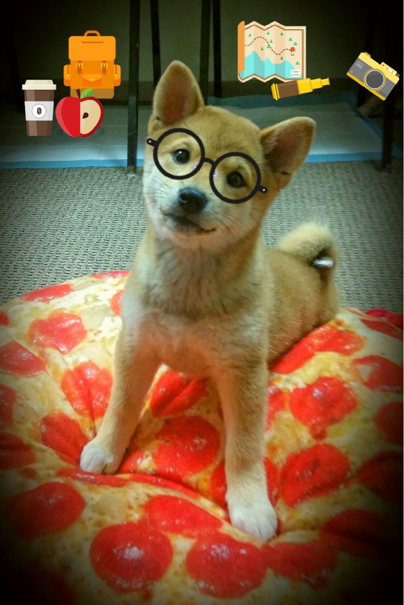 小国雄心与巨星时刻，当安哥拉拿下冰岛，阿圭罗在欧冠赛场完成终极接管