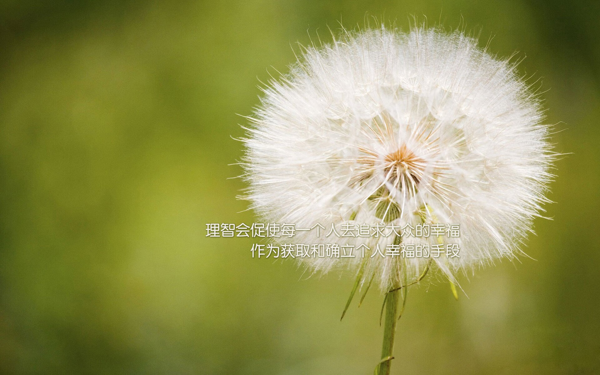 (可选方案)