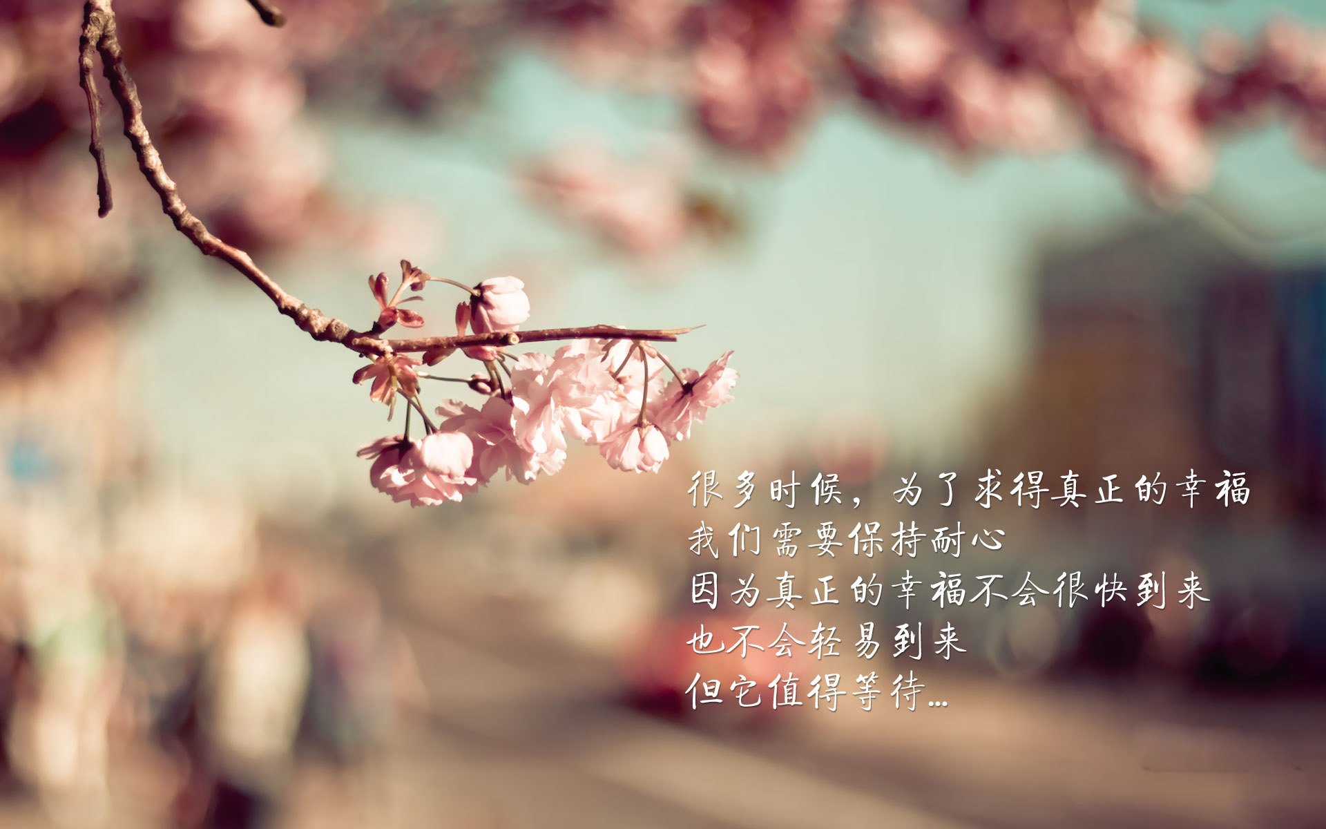 蓝白风暴中的绿洲，内马尔与2026世界杯B组的宿命对决