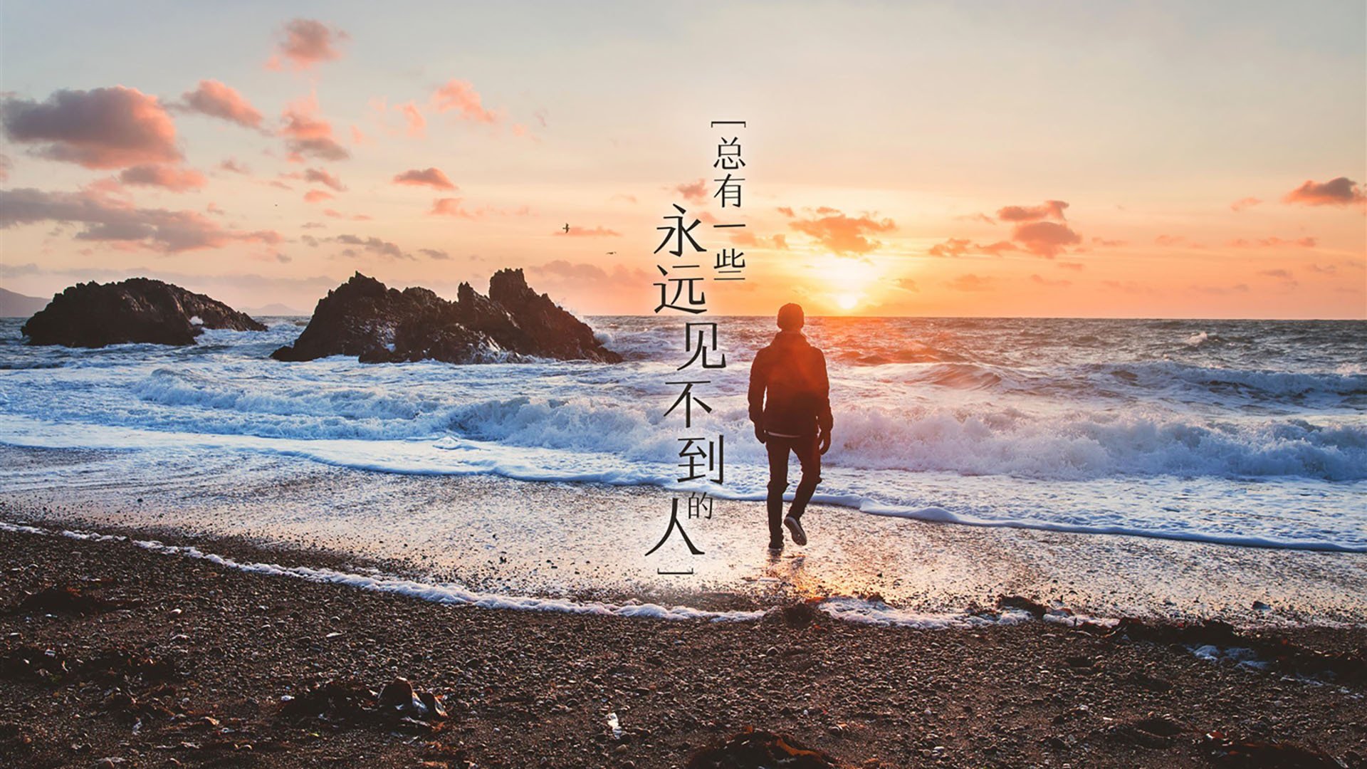 致命一击与太极虎的咆哮,2026世界杯B组,波兰绝杀喀麦隆,孙兴慜用锋芒撕碎质疑